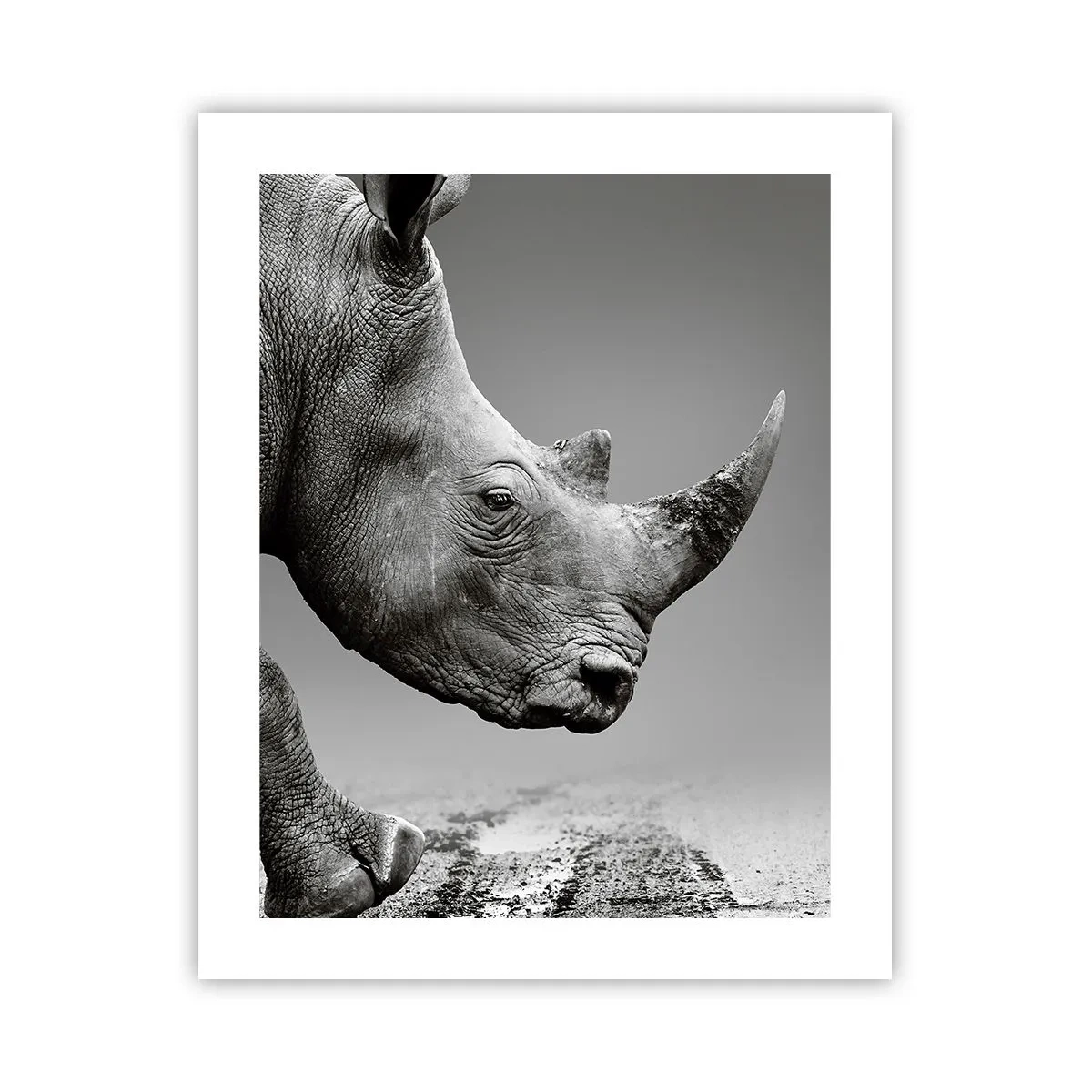 Poster - Onstuitbare kracht - 40x50 cm