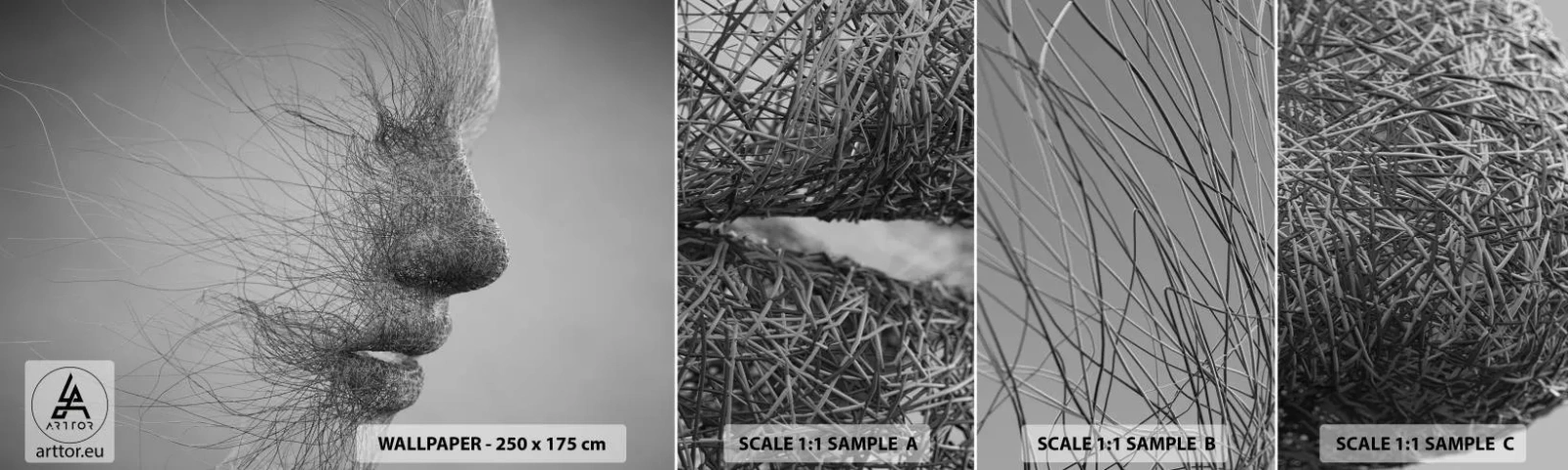 Fotobehang Monster Zelfklevend Deluxe Sticker - De geest van de wind - Abstractie, Het gezicht van de vrouw, Grafisch - 100x30 cm