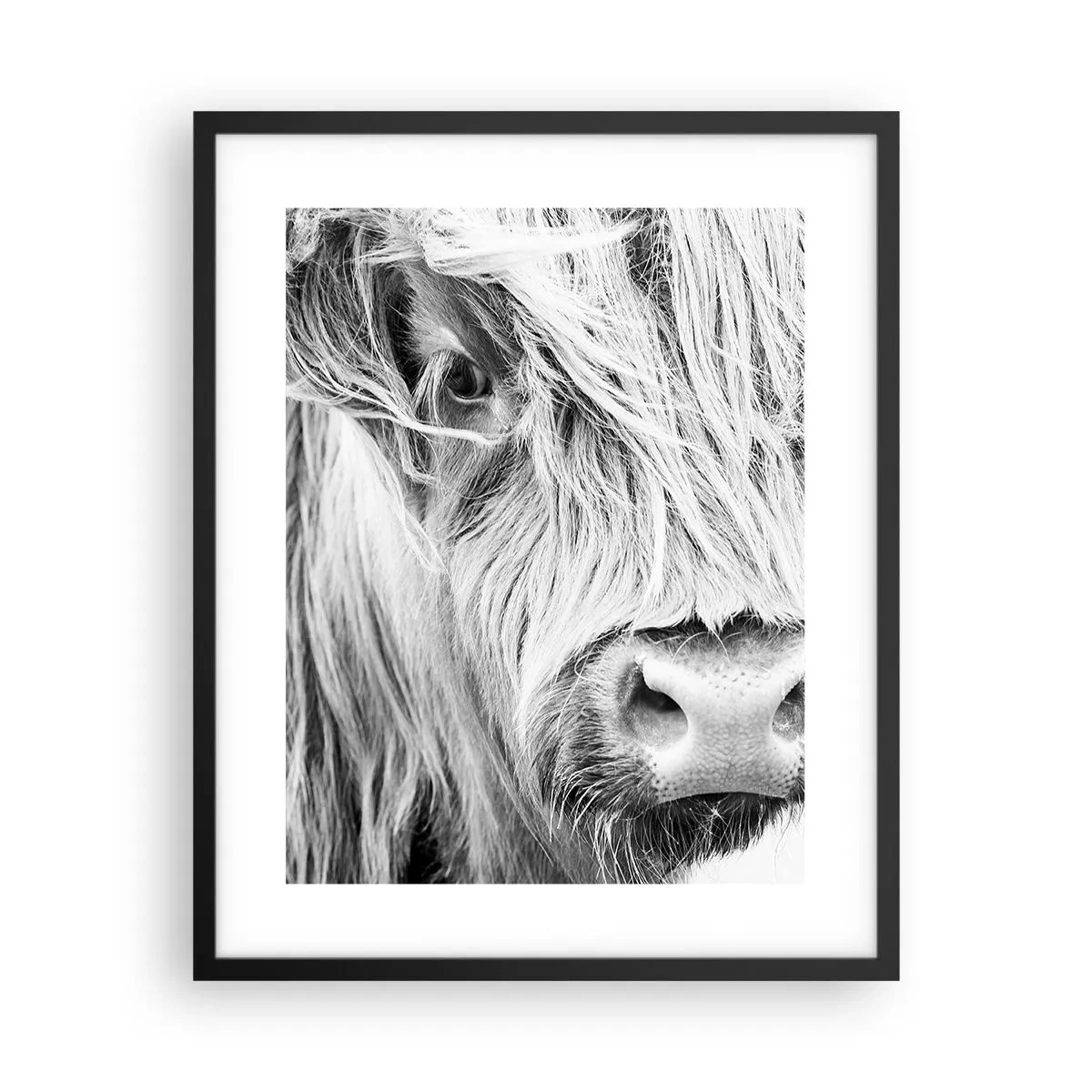 Poster in een zwarte lijst - Schotse wildheid - 40x50 cm