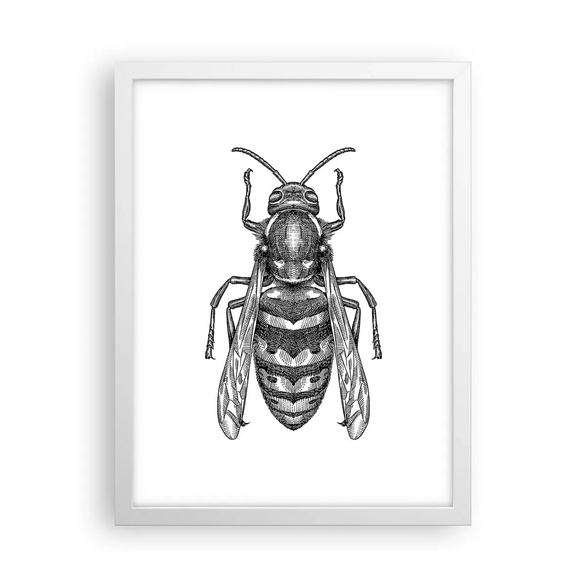 Poster in een witte lijst - Van een insectenplaneet - 30x40 cm