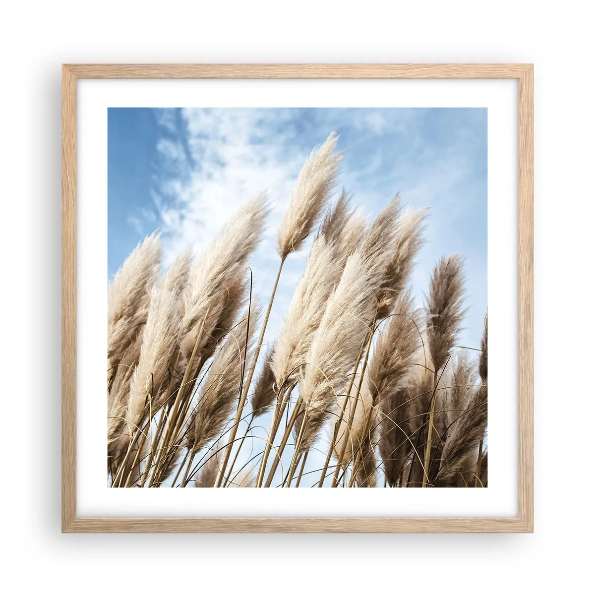 Een poster in een licht eiken lijst - Zonnige en winderige streling - 50x50 cm