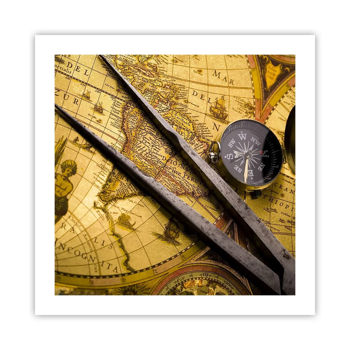 Poster - Waar zijn deze schatten? - 50x50 cm