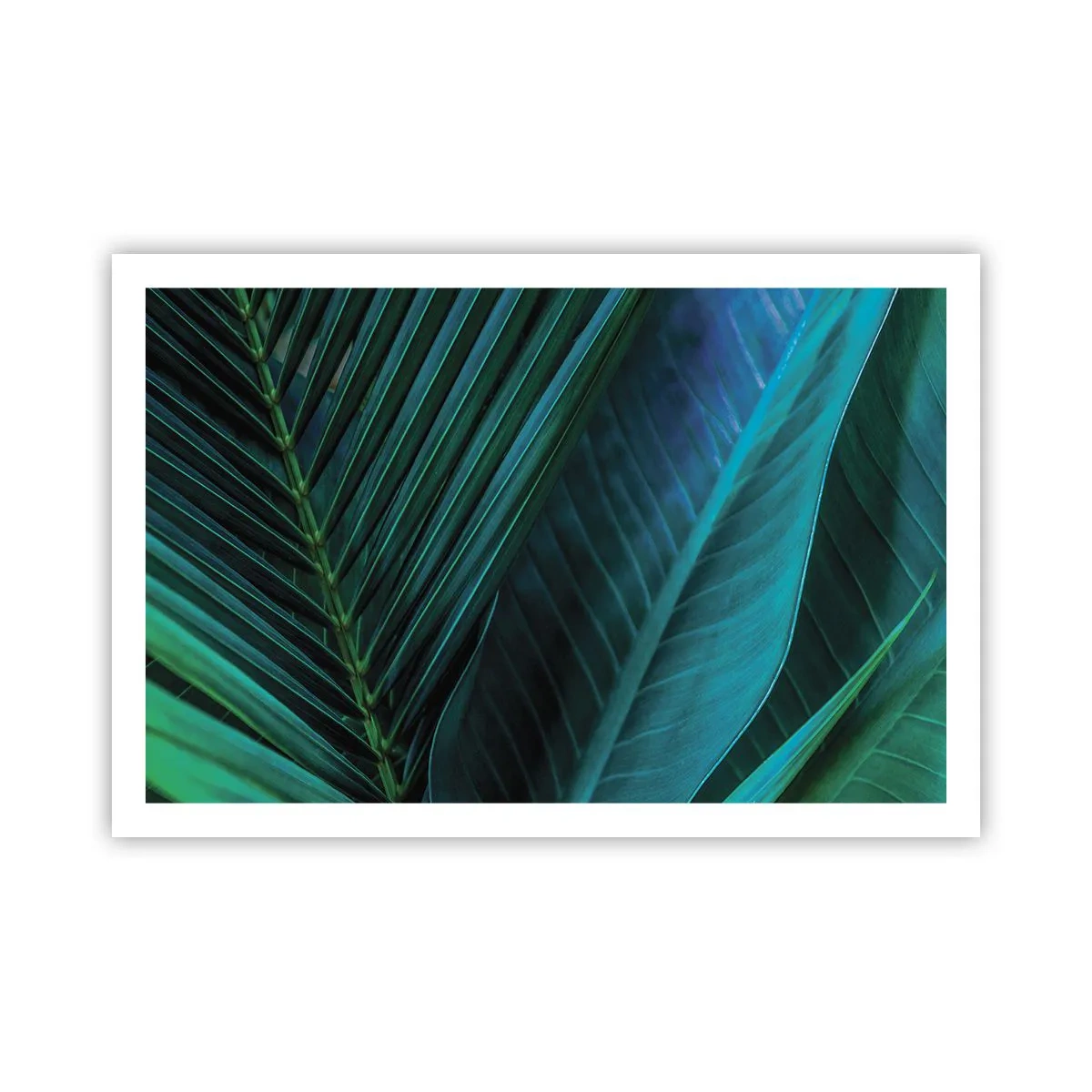 Poster - De anatomie van groen - 91x61 cm