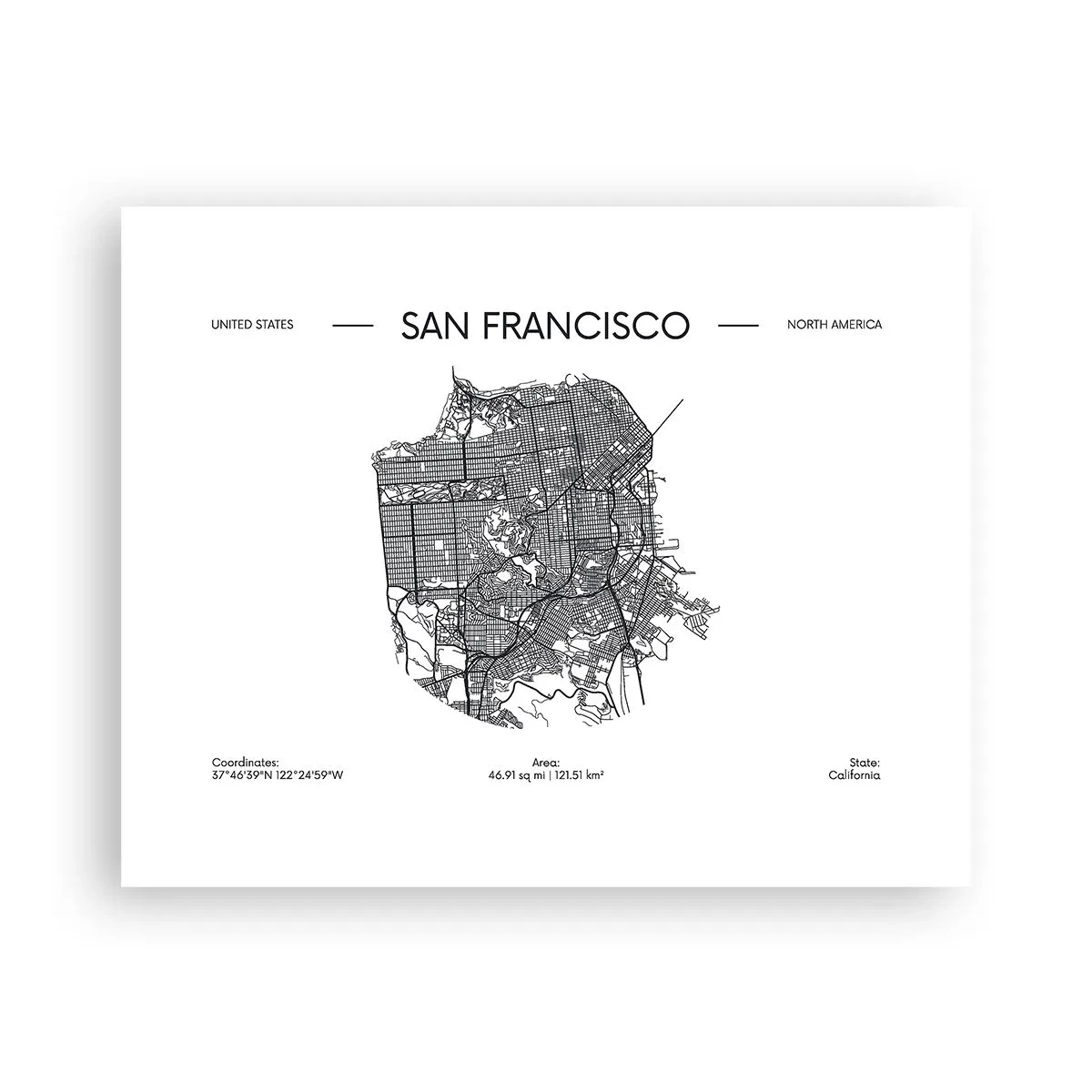 Poster - Anatomie van San Francisco - 50x40 cm