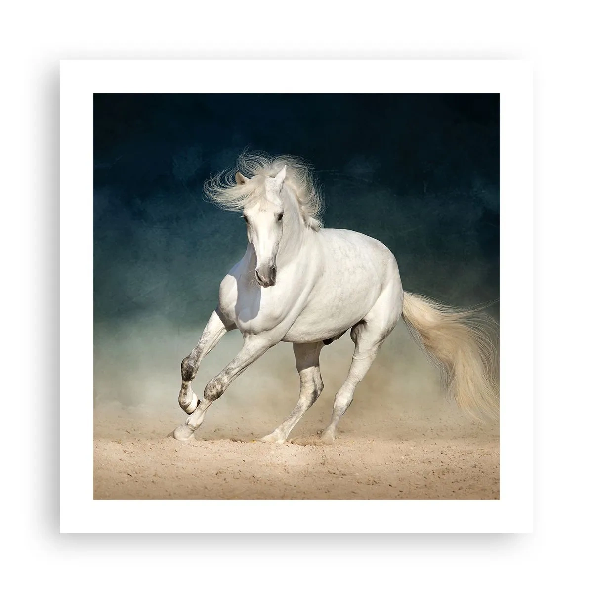 Poster - Vrijheid in zijn pure staat - 50x50 cm