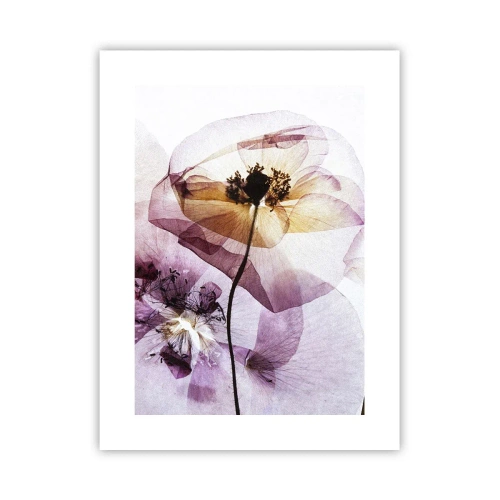 Poster - Transparante lichaamsbloemen - 30x40 cm