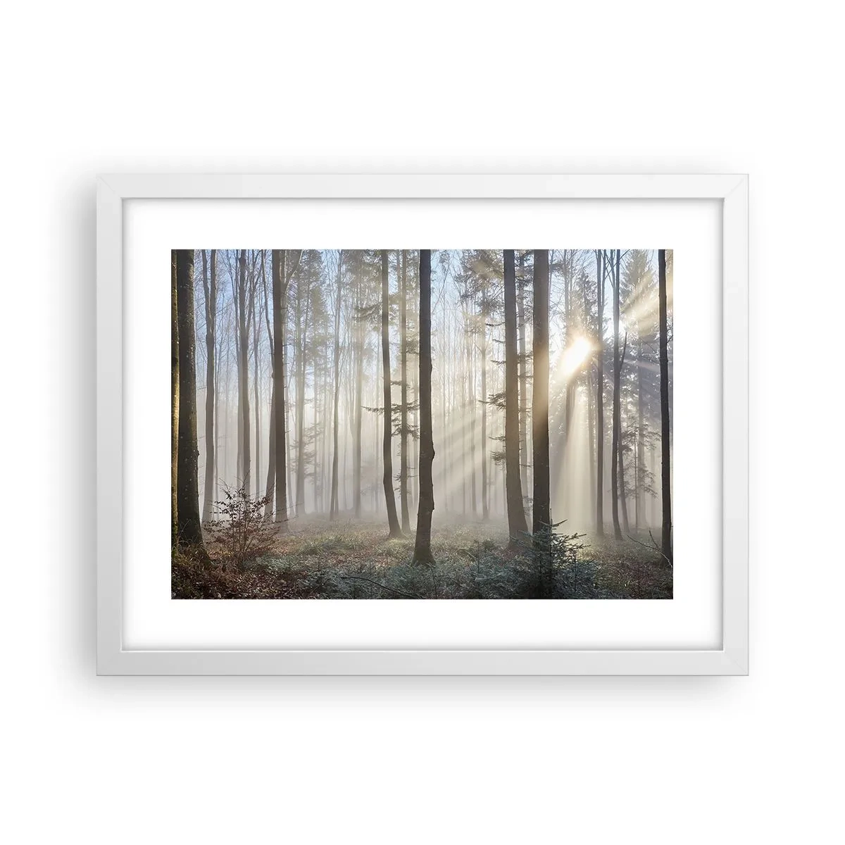 Poster in een witte lijst - De mist werd ook wakker - 40x30 cm