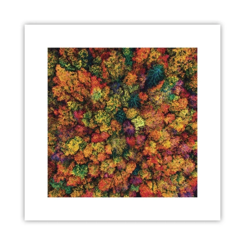 Poster - Boeket herfstbomen - 30x30 cm