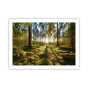 Poster - … Achter de zeven bossen - 70x50 cm