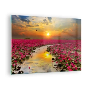 Schilderen op glas - Roze waterlelies op een meer bij zonsondergang - 70x50cm - Het geheime leven van het meer - Moderne wanddecoratie voor woonkamer en slaapkamer ARTTOR