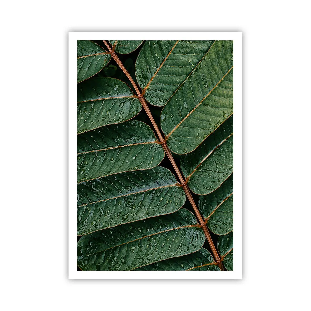 Poster - In een groen ritme - 70x100 cm