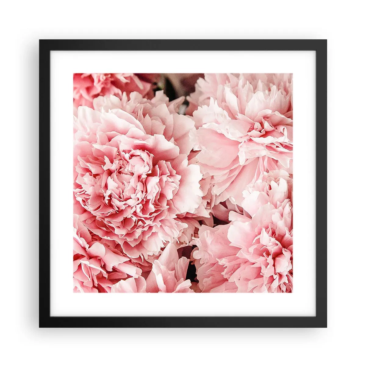 Poster in een zwarte lijst - Roze droom - 40x40 cm