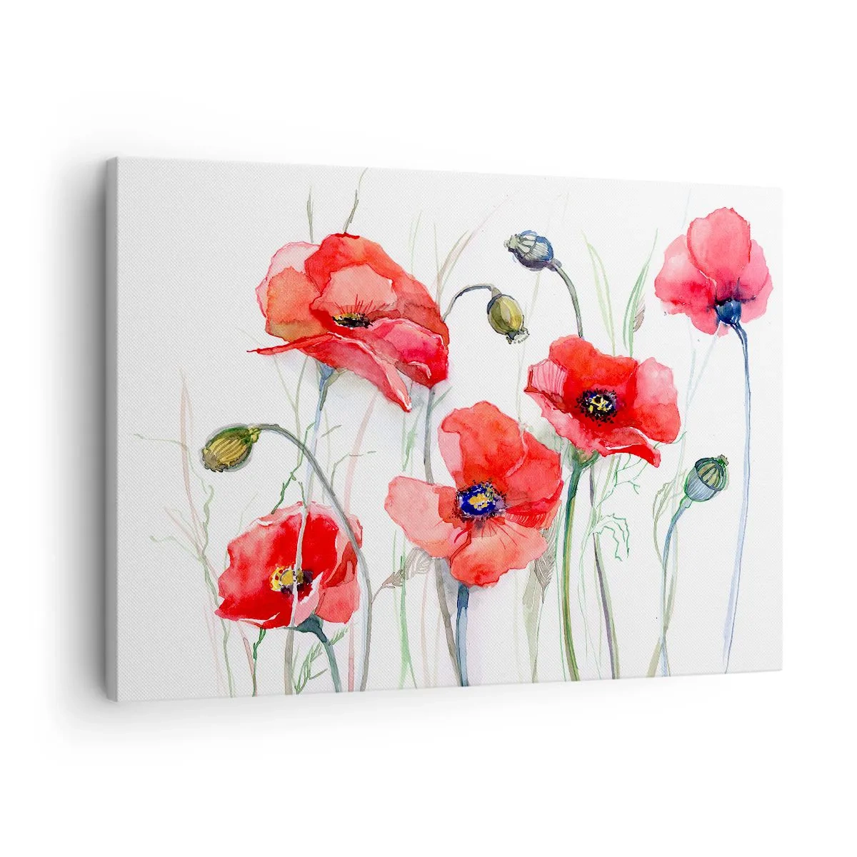 Schilderen op canvas - Aquarel klaprozen op een delicate achtergrond - 70x50cm - Poolse bloemen - Moderne wanddecoratie voor woonkamer en slaapkamer ARTTOR