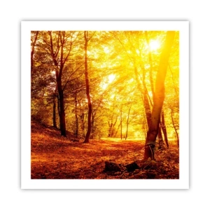 Poster - Op weg naar de gouden open plek - 60x60 cm