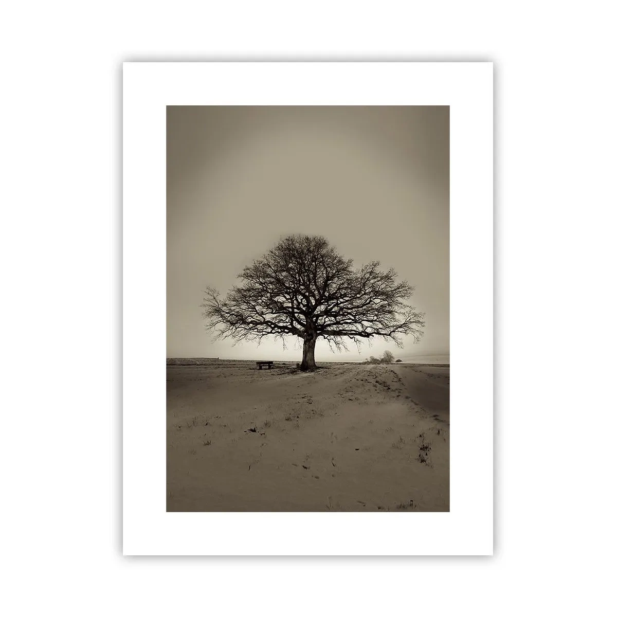 Poster - Van hier tot in de eeuwigheid - 30x40 cm