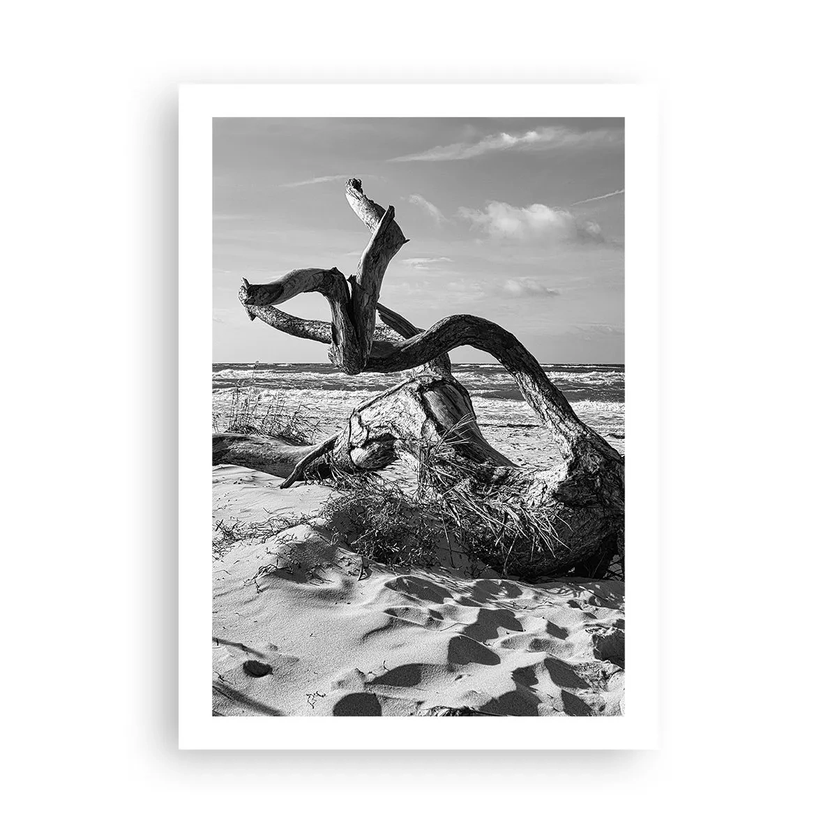 Poster - Zee sculptuur - 50x70 cm