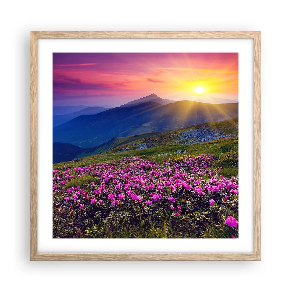 Een poster in een licht eiken lijst - … En eromheen ruikt het naar bergdennen en de geur van kruiden - 50x50 cm