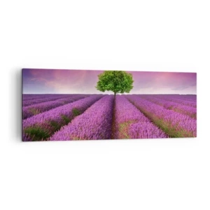 Schilderen op canvas - Op lavendelvelden - 140x50 cm