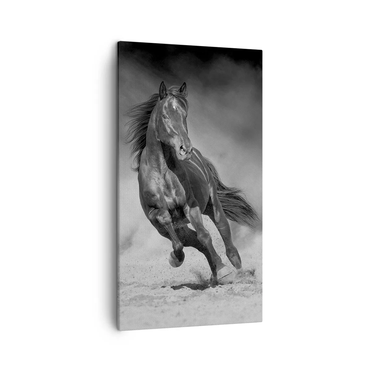 Schilderen op canvas - De emir zelf waardig - 45x80 cm
