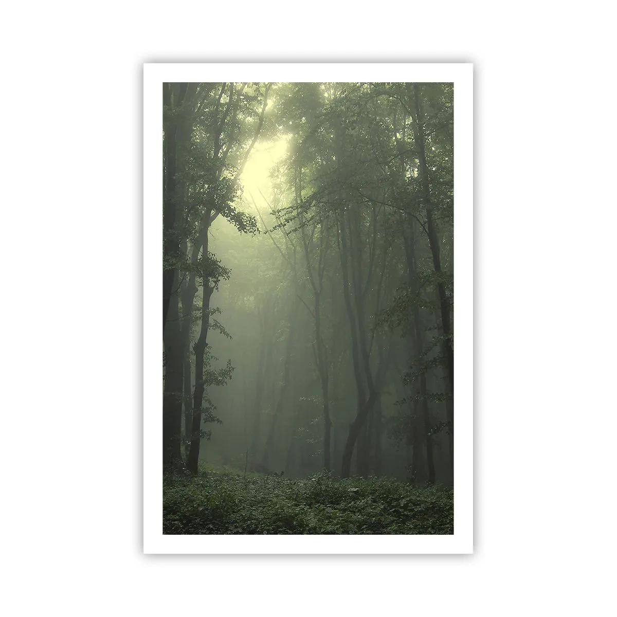 Poster - Voordat hij wakker wordt - 61x91 cm