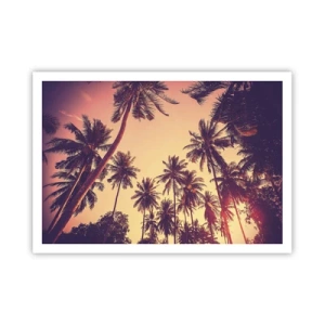 Poster - Een tropische variant - 100x70 cm
