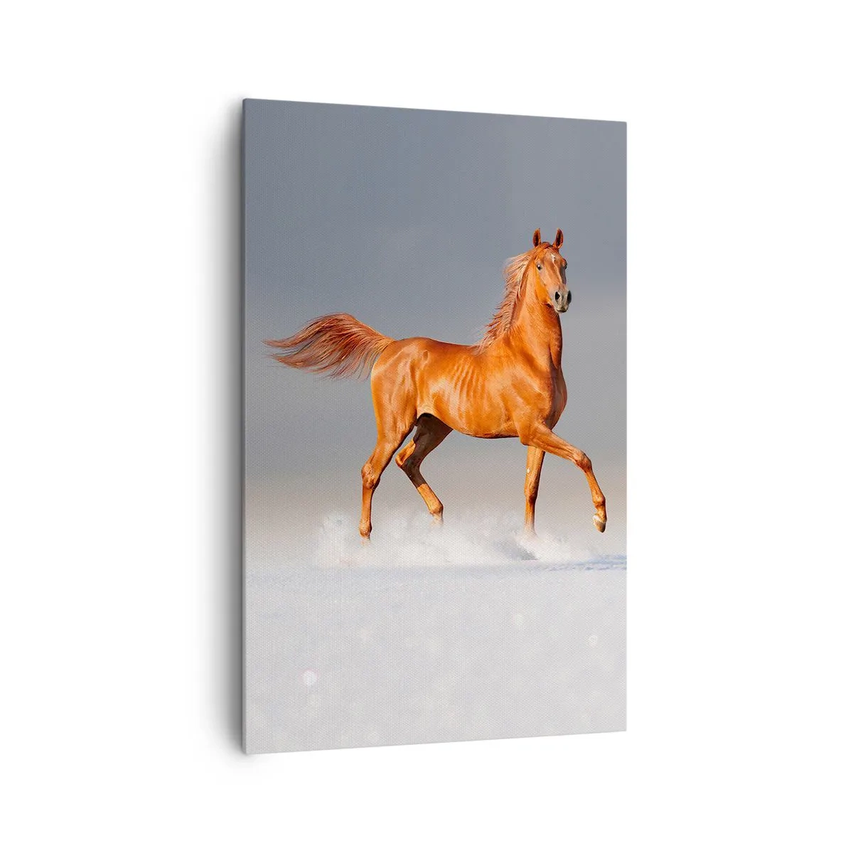 Schilderen op canvas - Dansende elegantie - 80x120 cm