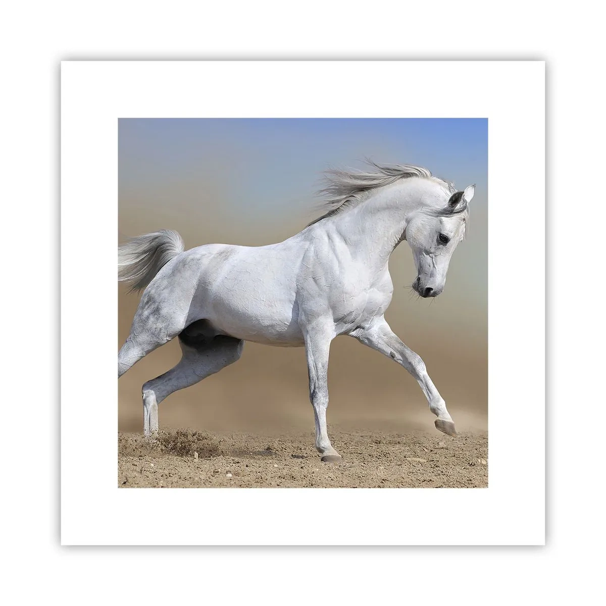 Poster - Het mooiste Arabische sprookje - 30x30 cm