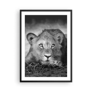 Poster in een zwarte lijst - Een jonge leeuw in monochrome tinten - 50x70cm - Koninklijke puppy - Moderne wanddecoratie voor woonkamer en slaapkamer ARTTOR