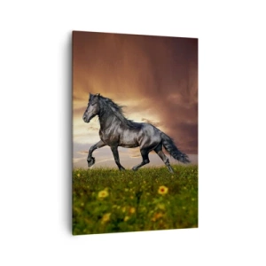 Schilderen op canvas - Zwarte Prins - 70x100 cm