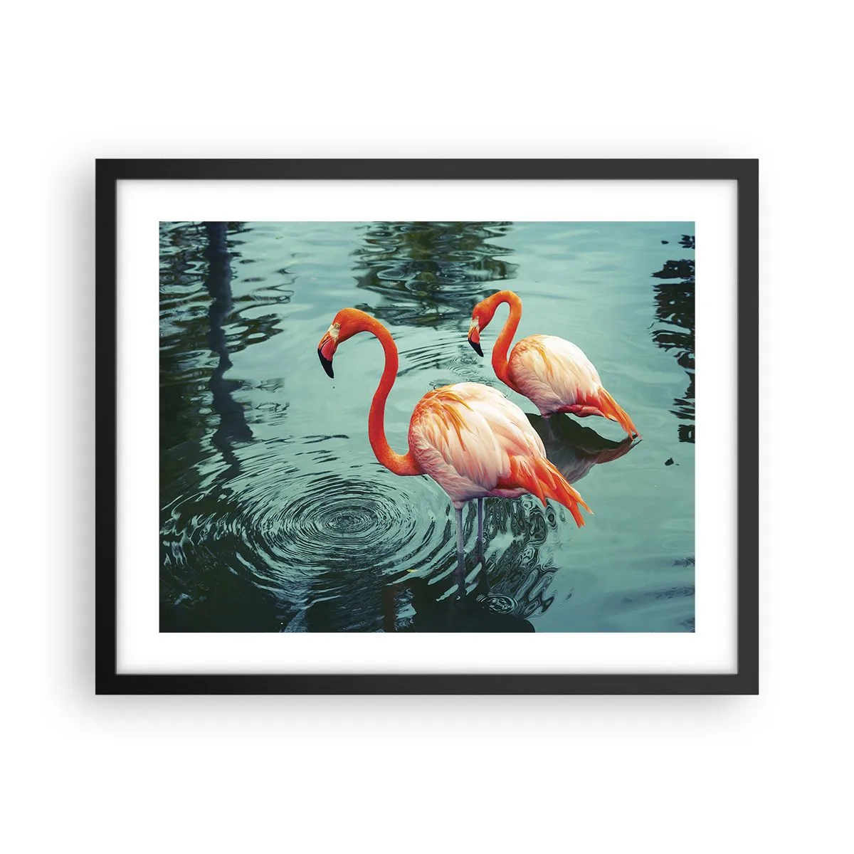 Poster in een zwarte lijst - We zijn nu in de mode - 50x40 cm