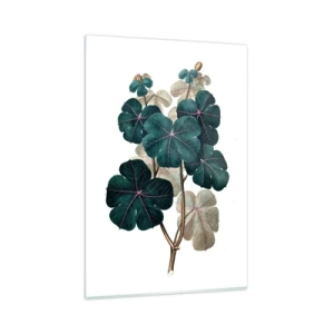 Schilderen op glas - Uit het oude herbarium - 80x120 cm