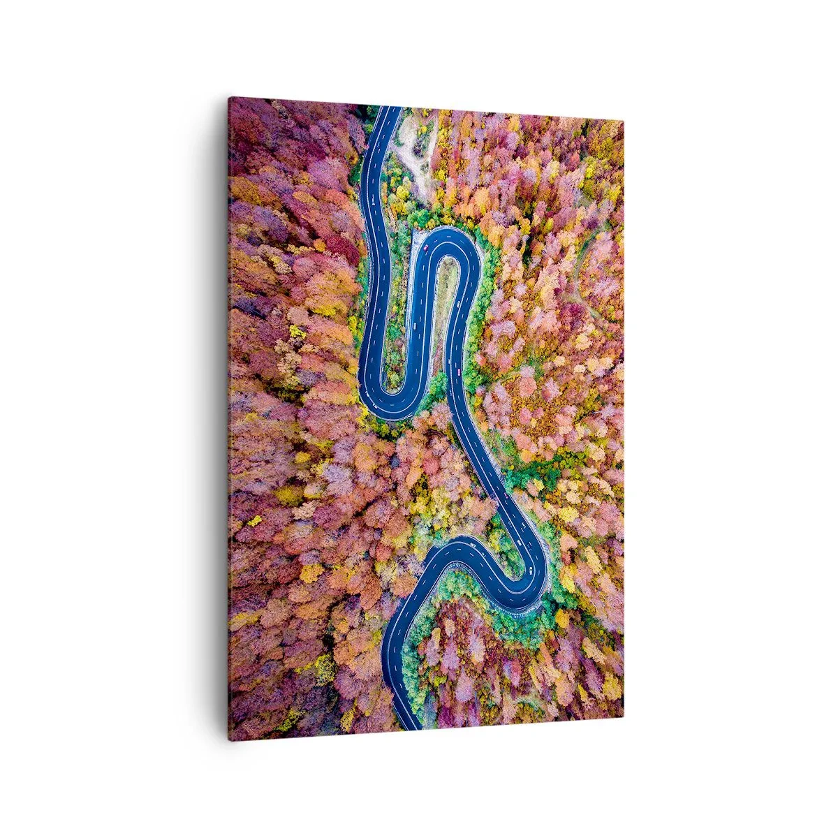 Schilderen op canvas - Een kronkelende weg door het bos - 70x100 cm