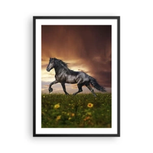 Poster in een zwarte lijst - Een zwart paard galoppeert over een weide in het licht van de ondergaande zon. - 50x70cm - Zwarte Prins - Moderne wanddecoratie voor woonkamer en slaapkamer ARTTOR
