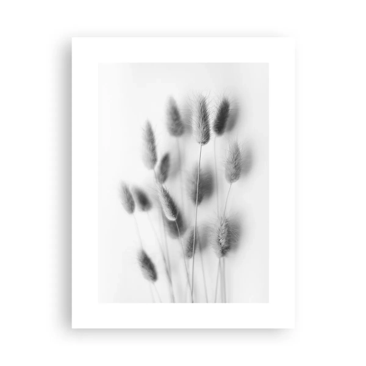 Poster - Haar luchtigheid gras - 30x40 cm