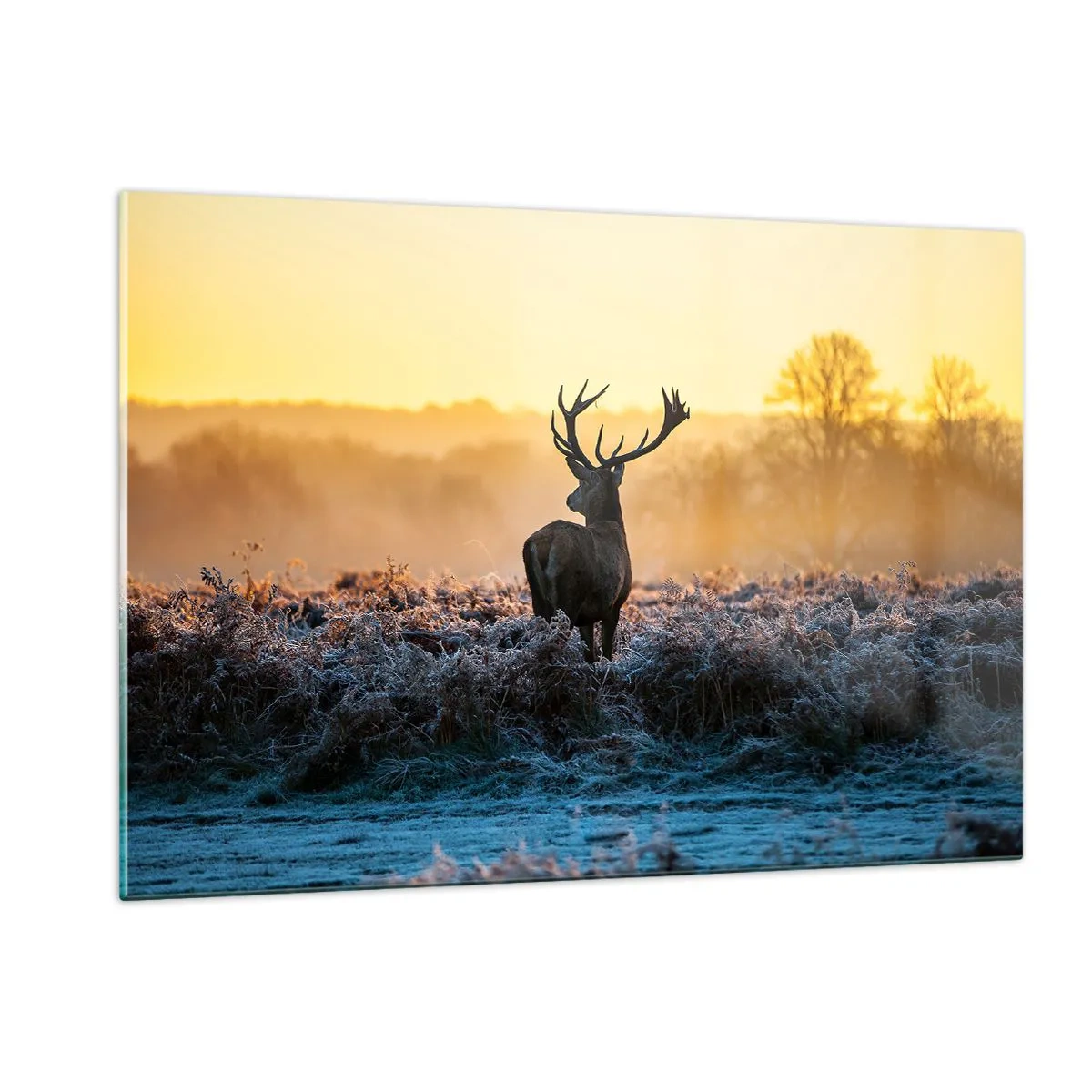 Schilderen op glas - Gekroond op zijn landgoed - 120x80 cm
