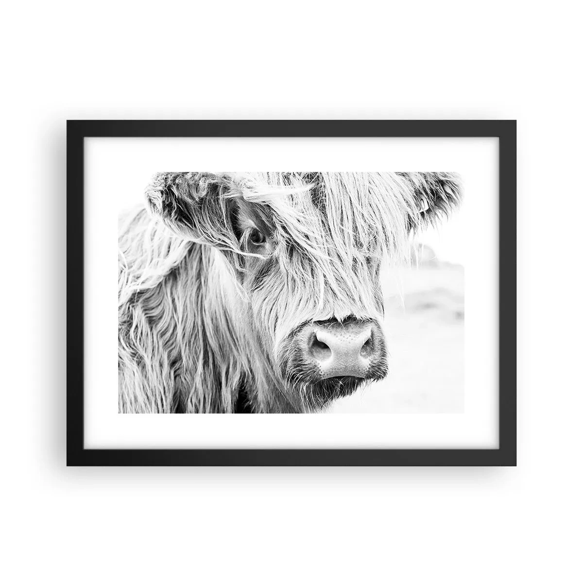 Poster in een zwarte lijst - Schotse wildheid - 40x30 cm