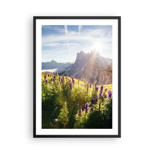 Poster in een zwarte lijst - Een berglandschap met een weide vol bloemen bij zonsopgang - 50x70cm - Het geheime leven van kruiden - Moderne wanddecoratie voor woonkamer en slaapkamer ARTTOR