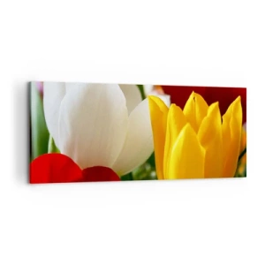 Schilderen op canvas - Tulpenkoorts - 120x50 cm