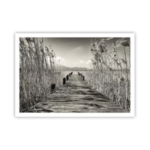 Poster - In de stilte van het gras - 100x70 cm