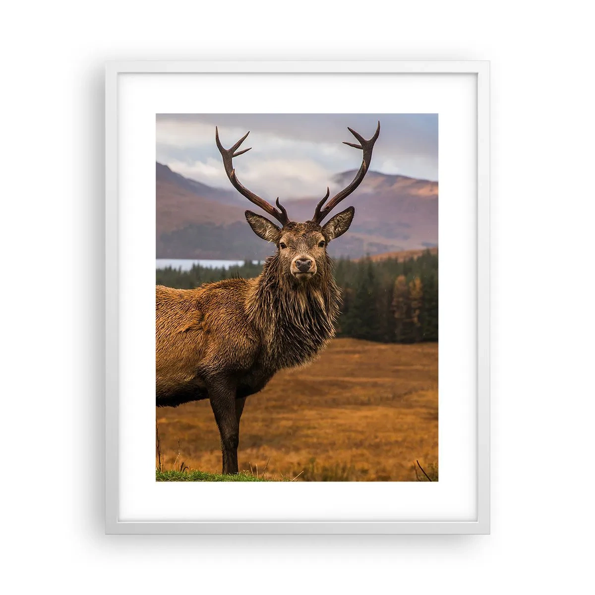 Poster in een witte lijst - De majesteit van de natuur - 40x50 cm