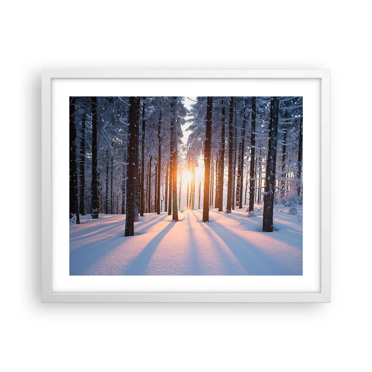 Poster in een witte lijst - Duidelijk in zwart-wit - 50x40 cm