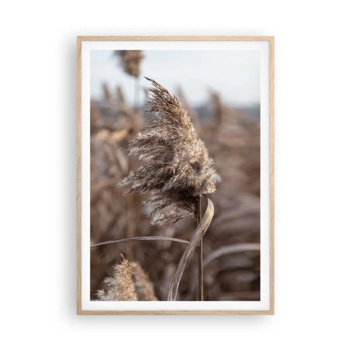 Een poster in een licht eiken lijst - Tijd om met de wind mee te gaan - 70x100 cm