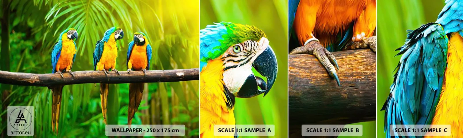 Fotobehang Staaltje Standard Eco - En heb je gehoord dat ze...? - Vogels, Papegaaien, Natuur - 100x30 cm