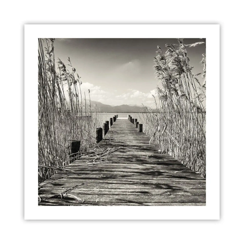 Poster - In de stilte van het gras - 50x50 cm