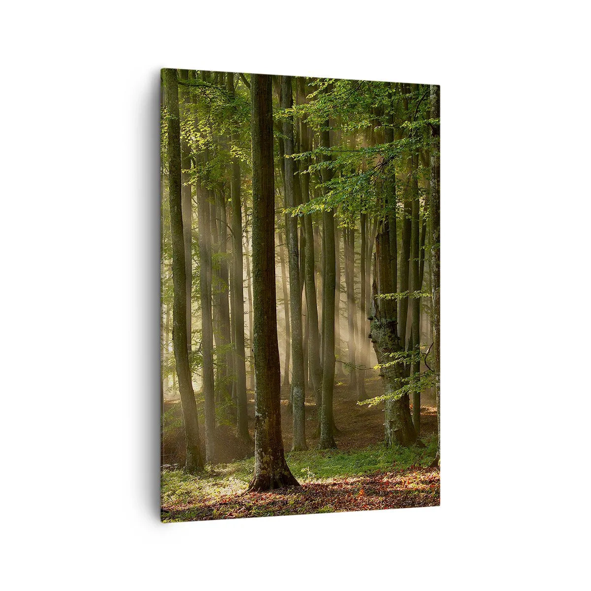 Schilderen op canvas - Stralend op een lentemorgen - 70x100 cm
