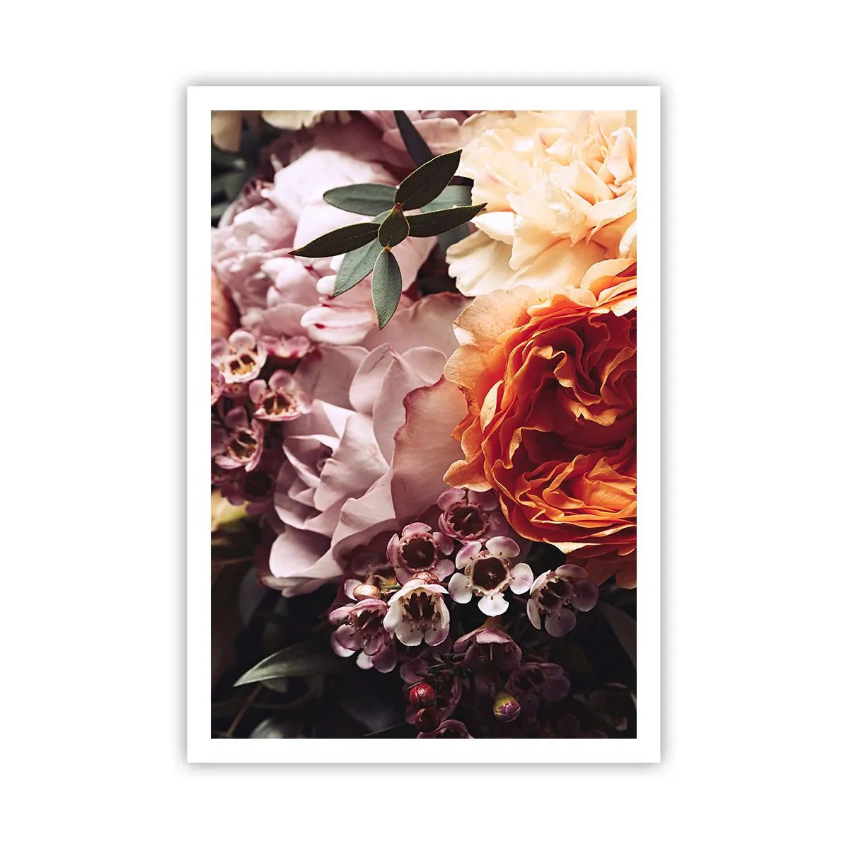 Poster - Gehuld in schoonheid - 70x100 cm