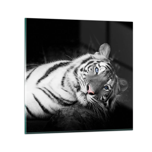 Schilderen op glas - Wildheid en vrede - 70x70 cm