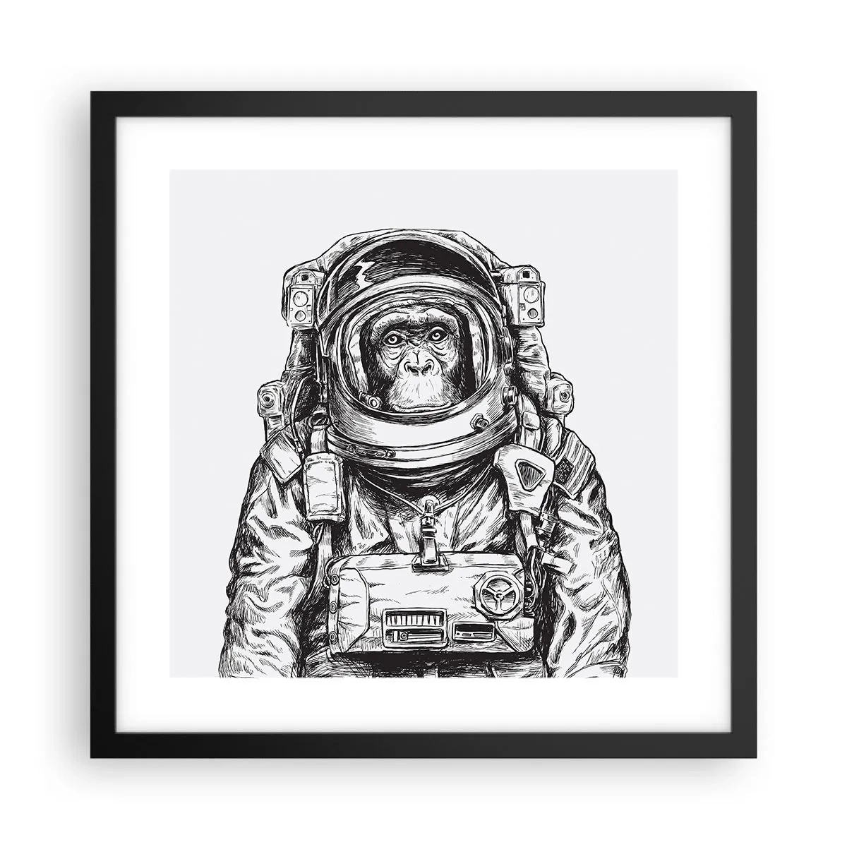 Poster in een zwarte lijst - Alternatieve evolutie - 40x40 cm