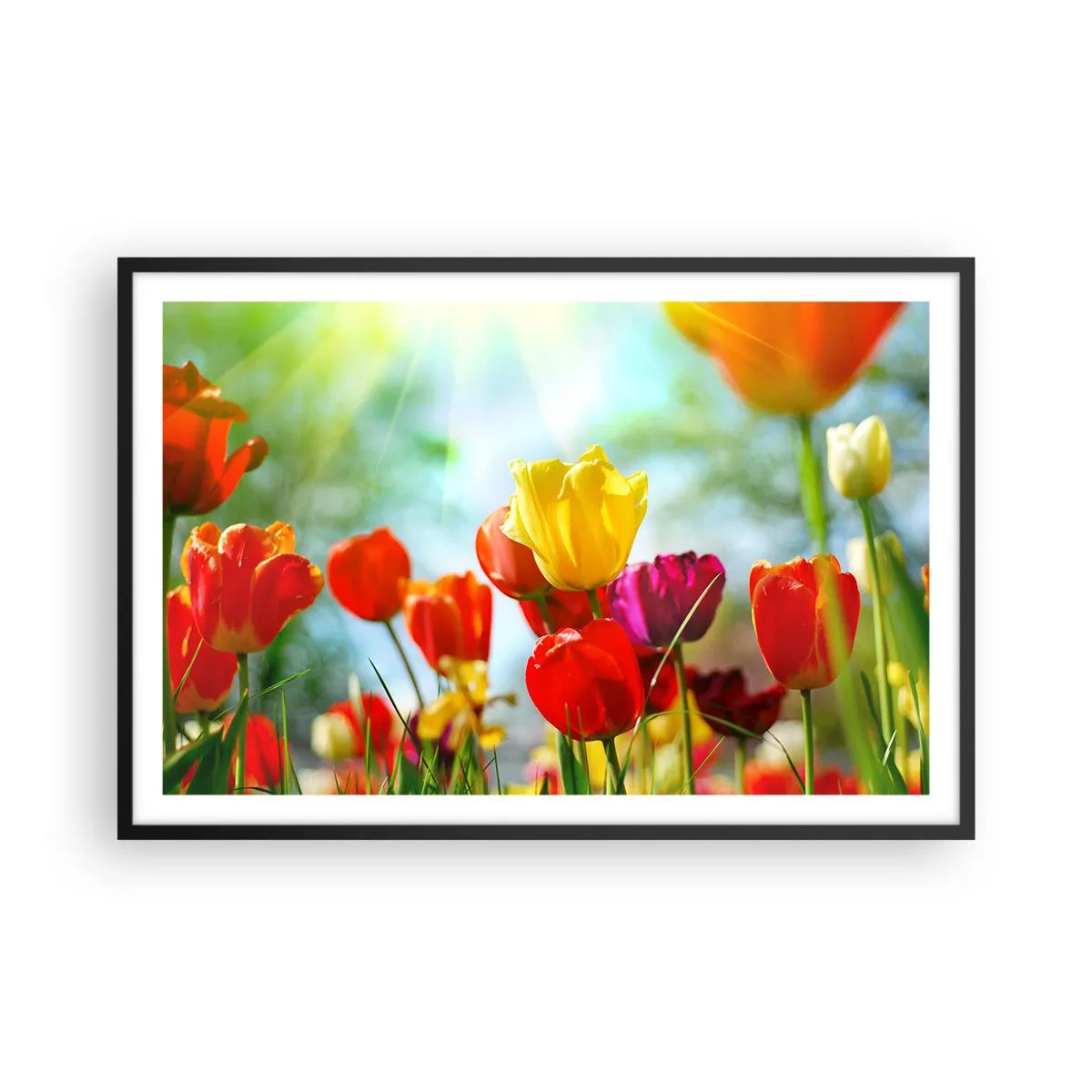 Poster in een zwarte lijst - Alle kleuren van de zon - 91x61 cm