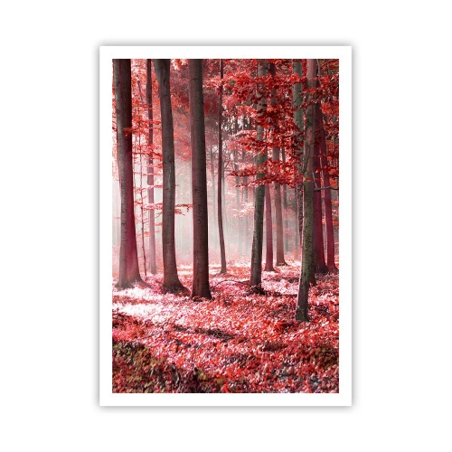 Poster - Rood is net zo mooi - 70x100 cm